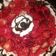 El cooksnap de Vane cuando hizo Tarta de frutilla!!.