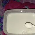 Cooksnap dari mega ashadila untuk resep Plain Yoghurt Homemade