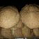 Cooksnap dari Oshien Takahiro untuk resep Roti boy mini