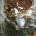 Cooksnap dari Shifa untuk resep #13 Tiramisu #BikinRamadhanBerkesan