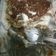 Cooksnap dari Shifa untuk resep #13 Tiramisu #BikinRamadhanBerkesan