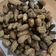 Cooksnap dari GLOW’s Home Kitchen untuk resep Kacang Rebus (Kacang Godog)