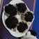 Cooksnap dari Alfin Mustafida untuk resep Bolu Kukus Cokelat Mekar Tanpa Telur - Gluten free
