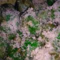 Cooksnap dari Papinka Band untuk resep Klepon Hijau