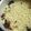 Gothai's cooksnap of when they made ஈரோடு பேமஸ் அரிசி பருப்பு சாதம்.