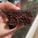 El cooksnap de Adelina Olivero Rovira cuando hizo Brownie (no le digan a nadie que es de porotos negros).