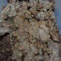 Cooksnap dari Rina Emas Babel untuk resep Empal Gepuk Daging Sapi Garing