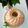 Woodenspoon4you's cooksnap of when they made Zitronenkuchen mit Joghurt.
