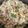 fanghwa chang 的 鮭魚炒飯 cooksnap