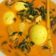 Cooksnap dari Ira Dearni untuk resep Sayur daun singkong