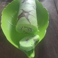 Cooksnap dari Putri Kansa untuk resep Bolu Gulung Kukus Ekonomis