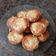 El cooksnap de Ludmi Angelelli cuando hizo Cupcakes de manzana.