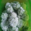 Cooksnap dari Shandy Megawati untuk resep Kelepon Pandan Asli
