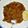 Elsie's cooksnap of when they made Wet Fried Rabbit.