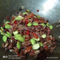 Cooksnap dari Ati Nuryati untuk resep Cumi dower pete