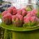 Cooksnap dari Mery Ana untuk resep Bolu Kukus Pandan