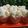 Cooksnap dari CiNny Wyt0 untuk resep Bolu Kukus Tanpa