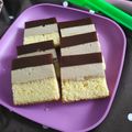 Cooksnap dari ibu kencana untuk resep Cake Pudding Busa Ekonomis Tapi Enaakk