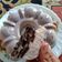 Cooksnap dari Devia R. untuk resep Puding Oreo