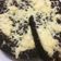 Cooksnap dari Rani Anggarani untuk resep Bolu Ketan Hitam Kukus