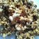 Cooksnap dari Rima Masyanah untuk resep Popcorn karamel homemade