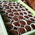 Cooksnap dari Achie Sunarsi untuk resep Muffin Cokelat