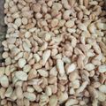 Cooksnap dari RIRIN HANDAYANI untuk resep Biji ketapang renyah empuk banget