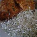El cooksnap de Gloria Sanchez cuando hizo Tortitas de zanahoria.