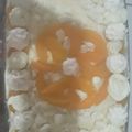 El cooksnap de carentroilo cuando hizo Chajá rápido.