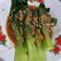 Cooksnap dari yeni untuk resep Pakcoy Garlic ala Resto