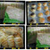 Cooksnap dari nafiah chusniyati untuk resep Sweet bun (no knead)