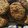 El cooksnap de Analia Cantor cuando hizo Galletas de avena y plátano.