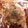 george.eveleth's cooksnap of when they made Cornish Game Hens.