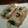 El cooksnap de Hernan Molinero cuando hizo Salmón al vapor con albahaca y limón.