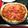 El cooksnap de roangar cuando hizo Pizza barbacoa con masa y salsa caseras.