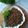 Cooksnap dari Aning Han untuk resep Abon ikan