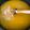 El cooksnap de Roberto Domínguez cuando hizo Sopa Miso de Camarones Fácil !!!!.