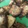 Cooksnap dari iin wijayanti untuk resep Bacem tempe tahu