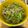 ママメイン！時々子供's cooksnap of when they made やみつき無限ピーマンつくれぽ10000.