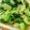 江湖小俠 的 蝦米青江菜 cooksnap