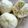 Cooksnap dari sury untuk resep Bapao Empuk Simple 
