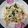 py s 的 蝦仁炒蛋 cooksnap