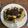 Cooksnap dari Rully untuk resep blueberry crumble cake