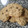 El cooksnap de Cristina Gimenez 🌼 cuando hizo Galletas de avena sin harina.