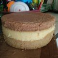 Cooksnap dari Bett N Cakk untuk resep Bolu tiramisu kukus
