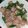 Cheng Joanne 的 秋葵蒜片炒雞腿肉 cooksnap