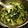 Darla Jylpig Ren 的 海帶芽紫菜蛋花湯 cooksnap