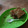 Cooksnap dari amaliyya untuk resep 134) Bolu Pisang Kukus (mudah, no mixer, anti gagal)