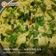 Jayshree Soni's cooksnap of when they made નાયલોન ખમણ....... મારા ફેમિલી ના ફેવરિટ છે #/SSM.