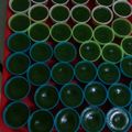 Cooksnap dari jusdi untuk resep Kue Lumpang pandan (New)